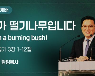 2026년 8월 30일 설교 내가 떨기나무입니다